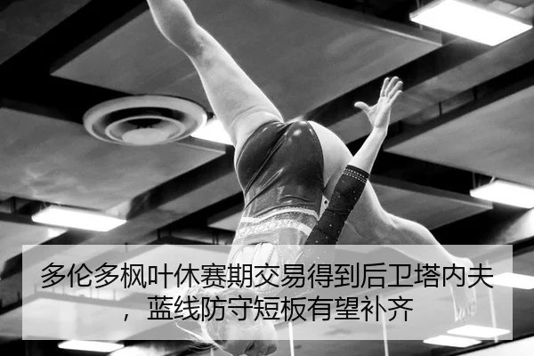 多伦多枫叶休赛期交易得到后卫塔内夫，蓝线防守短板有望补齐