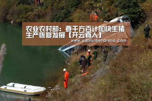 开云真人